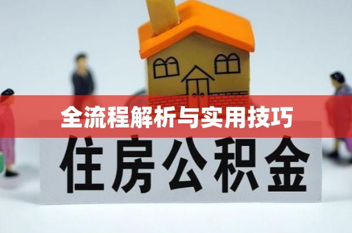 槐荫全流程解析与实用技巧