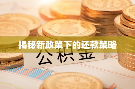 槐荫揭秘新政策下的还款策略