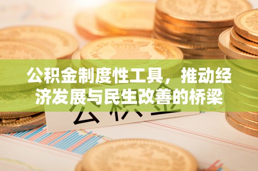 槐荫公积金制度性工具，推动经济发展与民生改善的桥梁