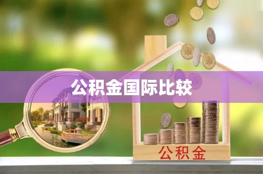 槐荫公积金国际比较